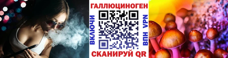 даркнет как зайти Невьянск Псилоцибиновые грибы GOLDEN TEACHER